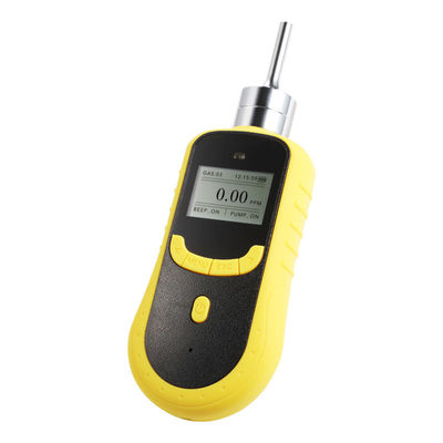 Portable Pumping CO Gas Detector with IP66 Protection and Optional Data Logging