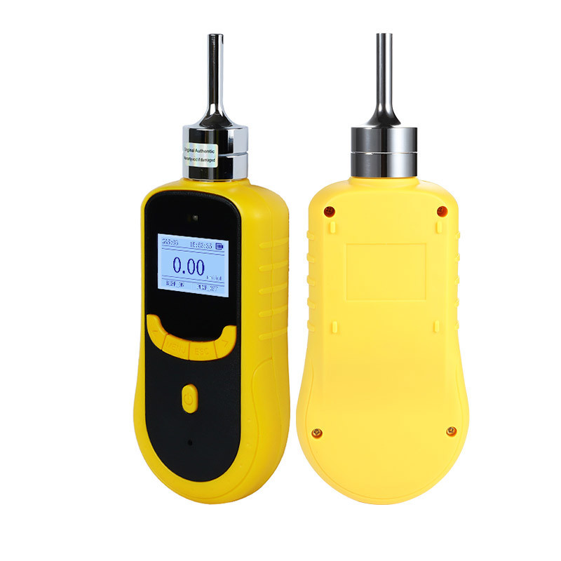 Fast Response High Precision CH3BR Gas Detector with IP66 Protection for Warehouse Safety Inspection